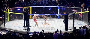 Kalendář MMA turnajů nabízí každý měsíc spoustu zajímavých akcí