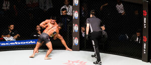 Statistiky z MMA naleznete na Sherdogu