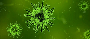 Ovlivní koronavirus MMA? Ovlivní koronavirus MMA?