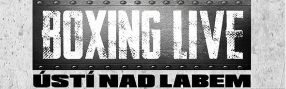 Boxing live Ústí nad Labem