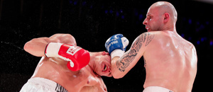 boxerský duel - Zdroj Petr Toman, Shutterstock.com