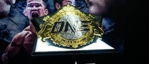 Organizace One Championship se poprvé ukáže v Česku