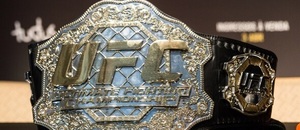 UFC pás - Zdroj Andre Luiz Moreira, Shutterstock.com UFC pás - Zdroj Andre Luiz Moreira, Shutterstock.com