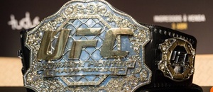 UFC pás - Zdroj Andre Luiz Moreira, Shutterstock.com