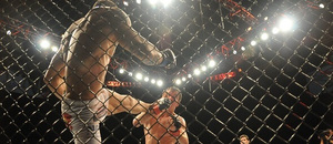 MMA souboj - Zdroj A.RICARDO, Shutterstock.com MMA souboj - Zdroj A.RICARDO, Shutterstock.com