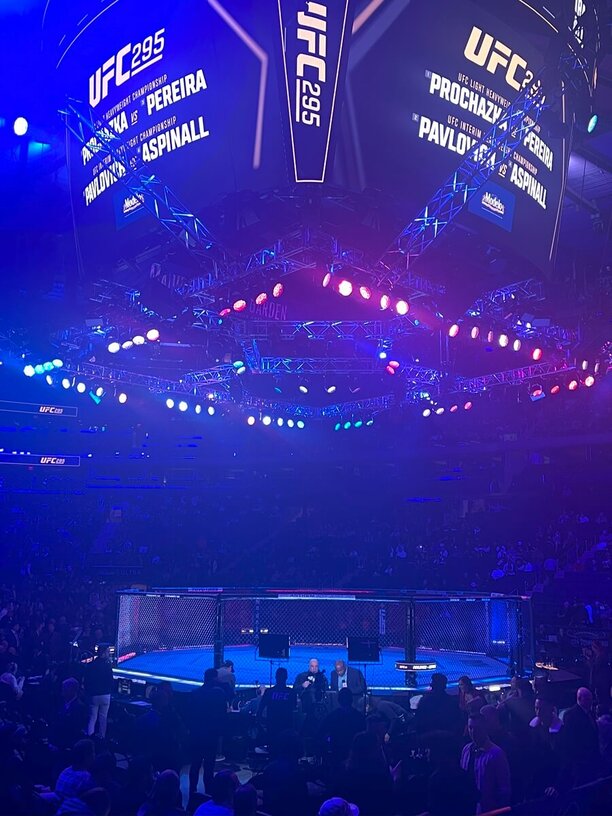 UFC 295