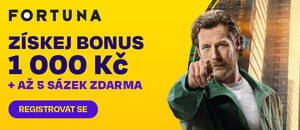 Vsaďte si na MMA u Fortuny a získejte bonus 1 000 Kč