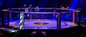 Osmihranná MMA klec Osmihranná MMA klec