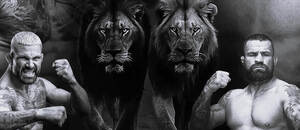 Turnaj Hell Boxing Kings 11 byl zrušen