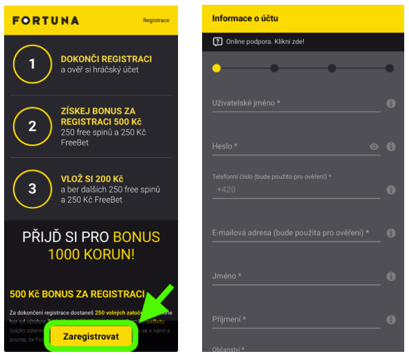 Registrace u&nbsp;Fortuny