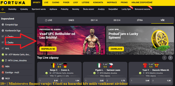 Vsaďte si stejně jako Leo Brichta