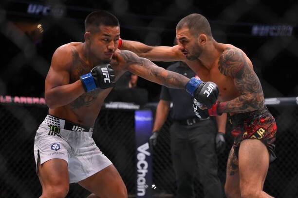 Joshua Van a&nbsp;Alexandre Pantoja se utkají znovu v&nbsp;odvetě na UFC 331 o&nbsp;titul muší váhy